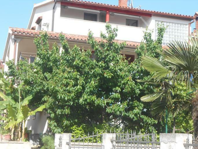 Apartman Snjezana Fažana Zewnętrze zdjęcie